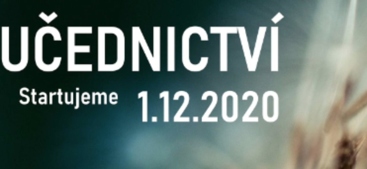 Učednictví ořez